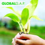 GlobalGAP - Kənd təsərrüfatı  istehsalını idarəetmə sistemi